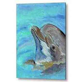 Smiling Dolphin