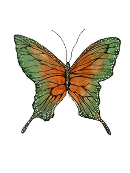 A watercolor painting of a vividly colored butterfly with wings in shades of green and orange