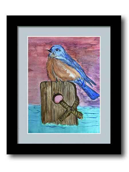 pearched bluebird framed print