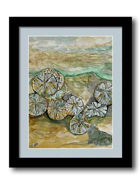 Sand Dollar Beach framed print