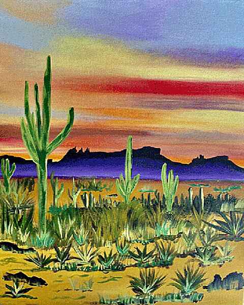 Arizona desert cactus 