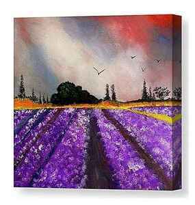 ​Lavender Fields