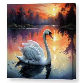 Graceful Swan