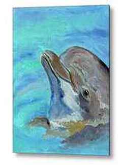 ​Smiling Dolphin