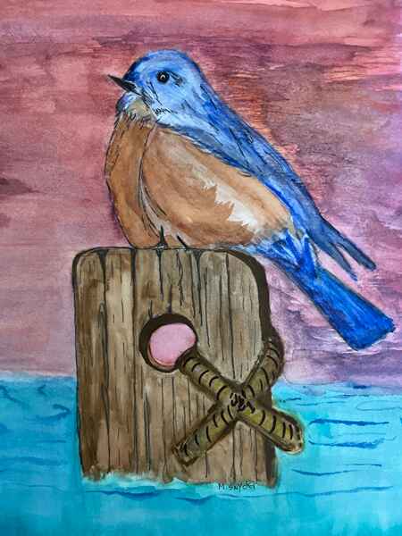pearched bluebird