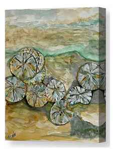 ​Sand Dollars