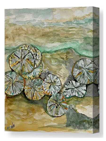 Sand Dollar Beach canvas print