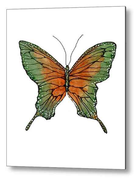 A watercolor painting metal print of a vividly colored butterfly with wings in shades of green and orange