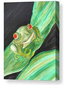 ​Red Eyed Tree Frog