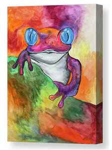 ​Blue Eyed Tree Frog