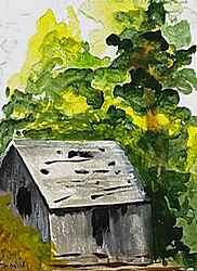 old gray shed