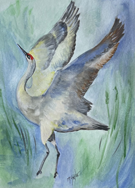 Dancing Sandhill Crane 