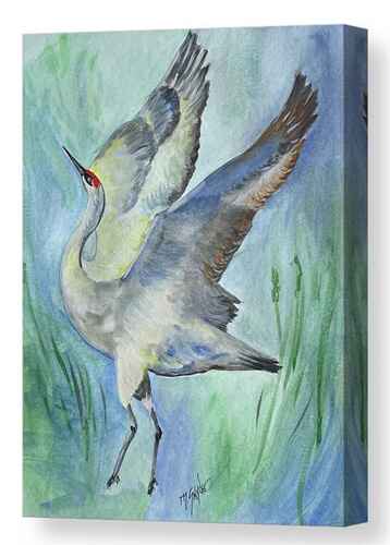 dancing sandhill crane watercolor