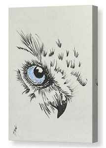 Wise Owls’ Eye