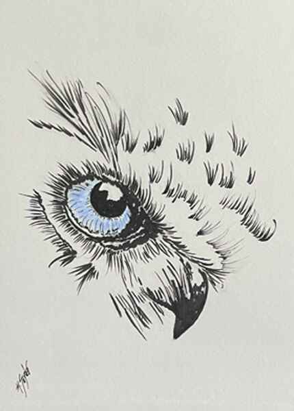 ​Wise Owl