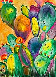 Prickly Pear Cactus