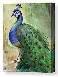 ​Proud  Peacock