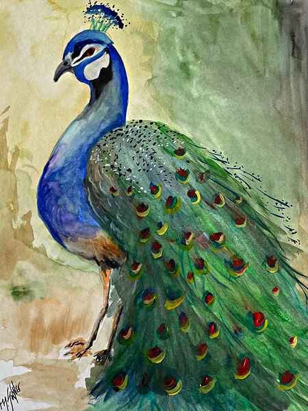 ​Queen of the Peacocks 