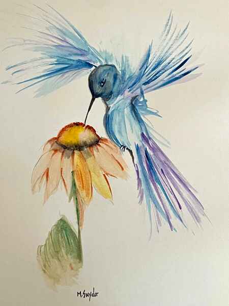 Hovering Hummingbird