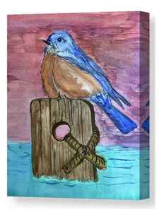 ​Perching Bluebird