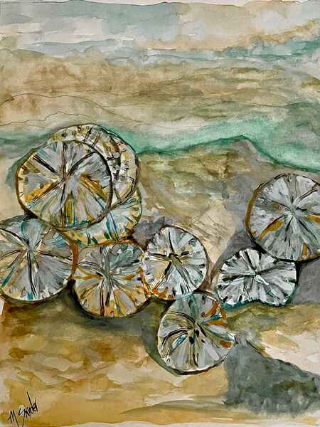 Sand Dollar Beach