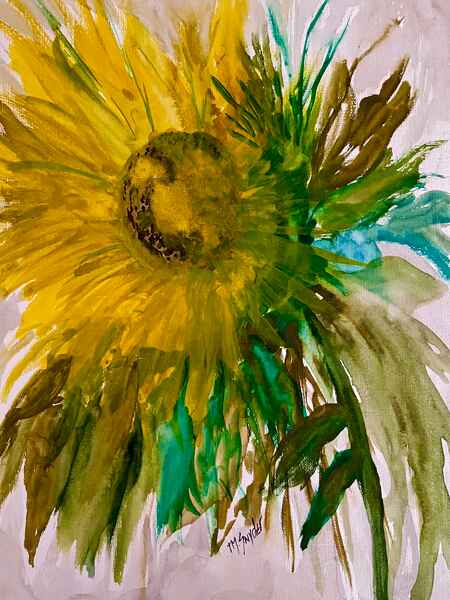Full Bloom Sunflower